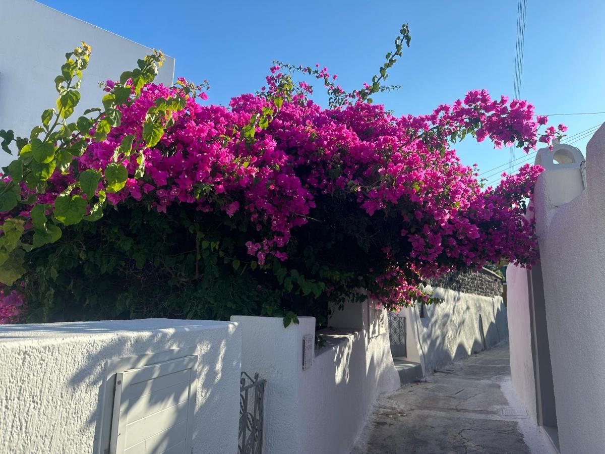 Vila Kefia 1 Mesaria Exteriér fotografie